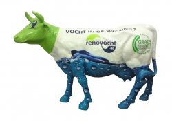 Alles over RENOVOCHT